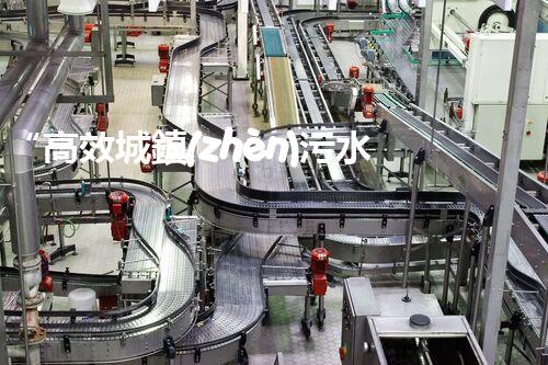 “高效城鎮(zhèn)污水處理流程，守護碧水藍(lán)天新篇章”